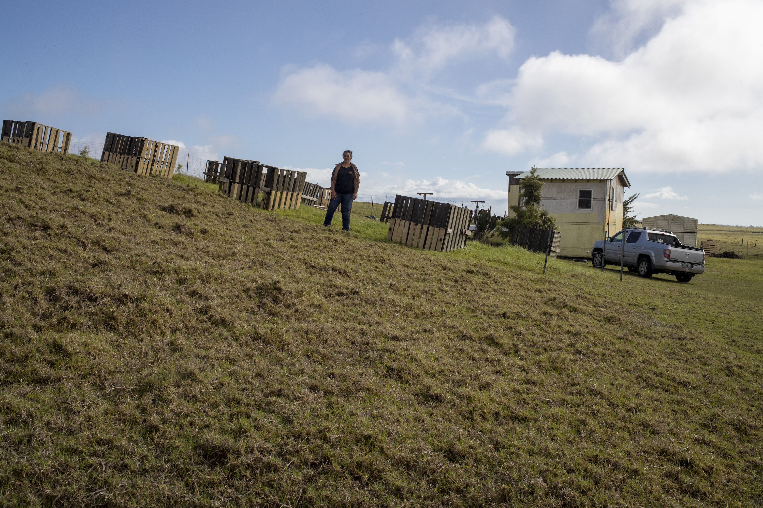 A woman stands in a row of wood pallets on a grassy lawn.
