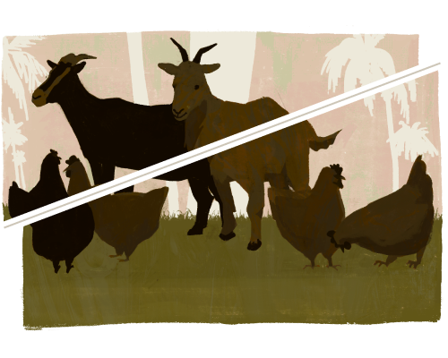Illustration of goats and chickens standing in a forest