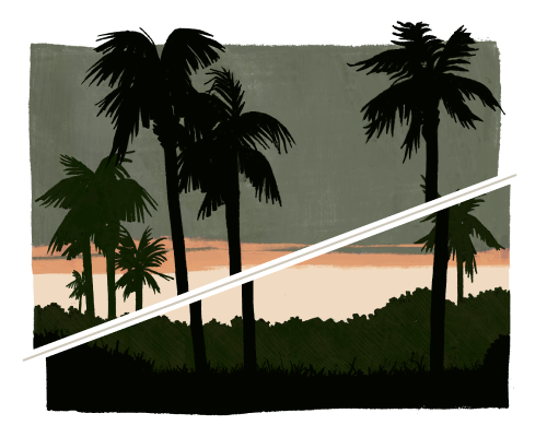 Illustration of a bat hanging upside down in a tree