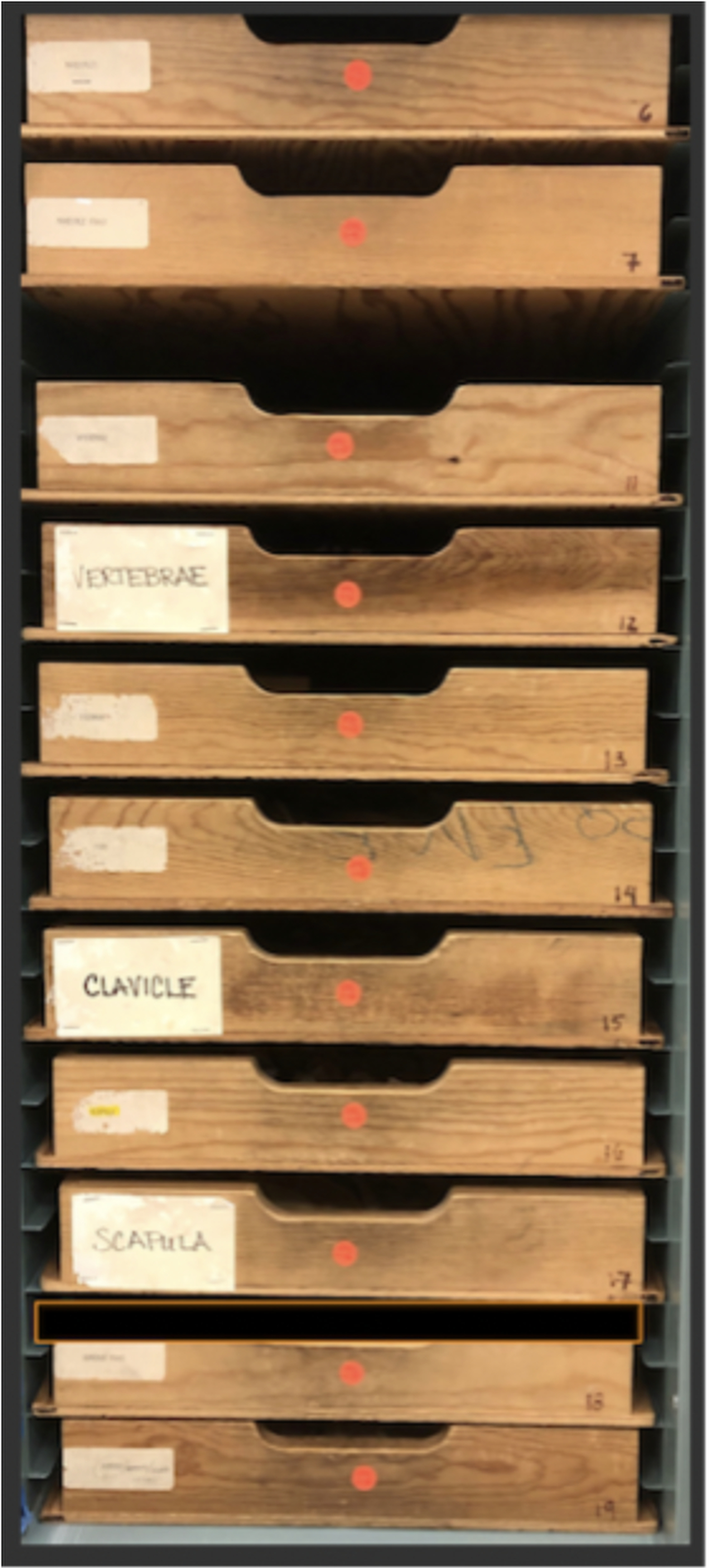 Drawers with labels including 